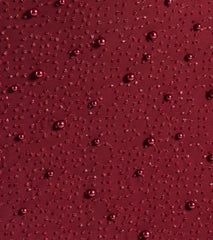 Miriam Pearl Beaded Formal Mini Dress