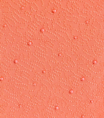 Kerry Open Back Bodycon Pearl Bead Formal Dress