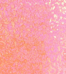 Zoe Lace-Up Corset Mermaid Sequin Formal Dress