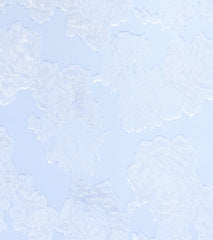 Sweet Beauty Floral Lace A-Line Mini Dress