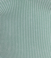 Undeniable Halter V-Neck Crop Top