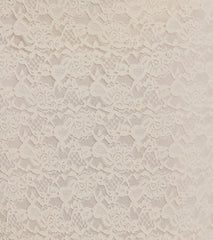 Unforgettable Dream High Rise Lace Maxi Skirt